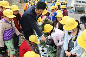 Children try growing tomatoes and other vegetables