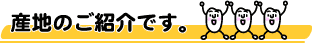 �Y�n�̂��Љ�ł��B