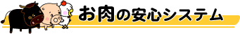 �����̈��S�V�X�e��